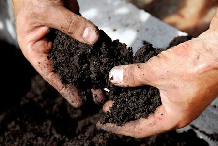 Compost maken