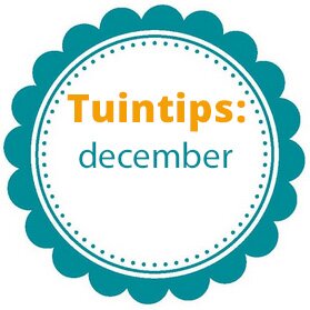 Wat te doen in de tuin in december?