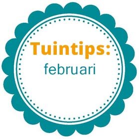 Wat te doen in de tuin in februari?