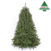 Forest Frosted Pine green 230cm | Triumph Tree Premium